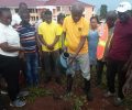 Green Ghana Day: Adopt A Tree, Make Sure It Grows-Sunyani West Mce To Residents